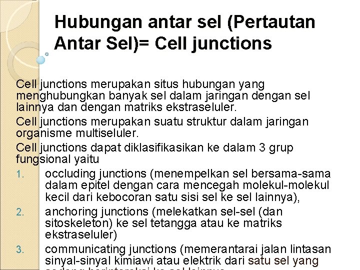 AYU CELL JINGKANG: Menyambungkan Cilacap dengan Layanan Cepat & Handal